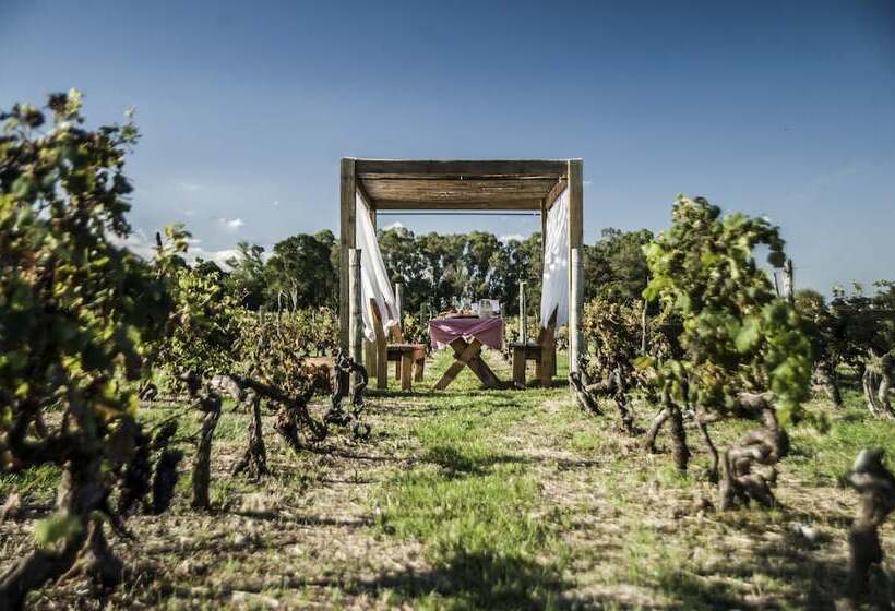 فندق Posada Campotinto