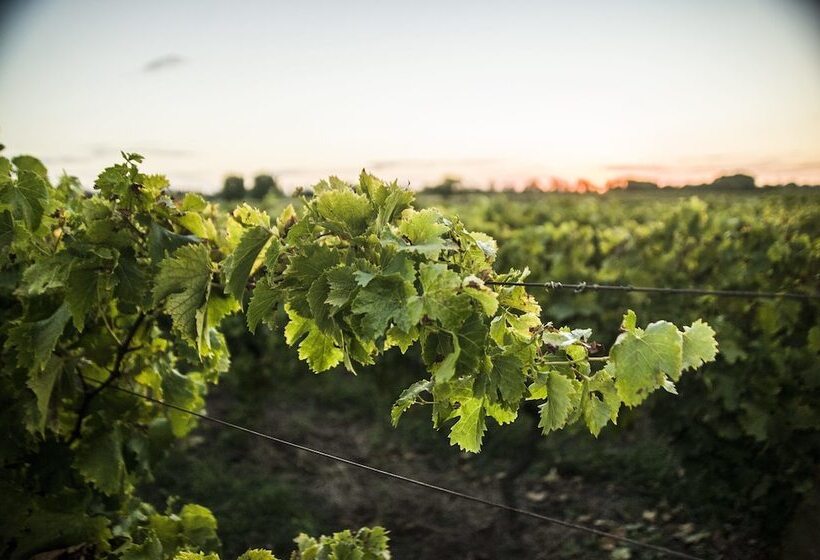 فندق Posada Campotinto