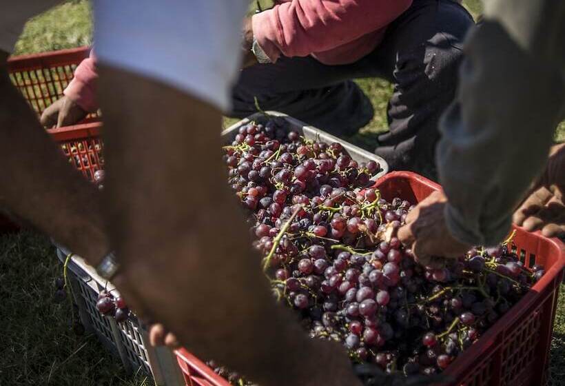 فندق Posada Campotinto