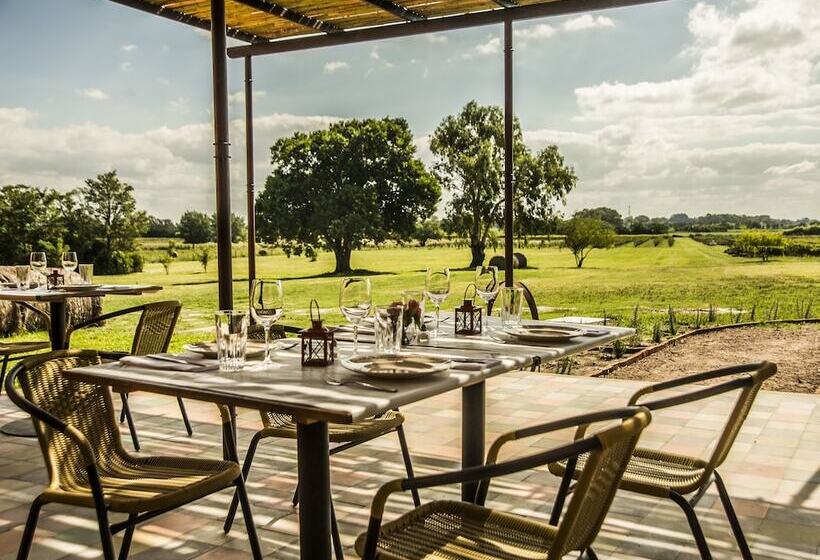 فندق Posada Campotinto