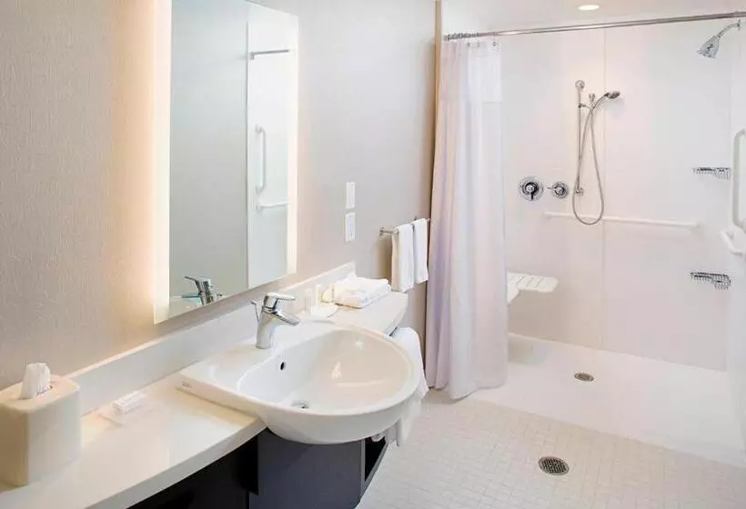 ホテル Springhill Suites By Marriott Carle Place Garden City