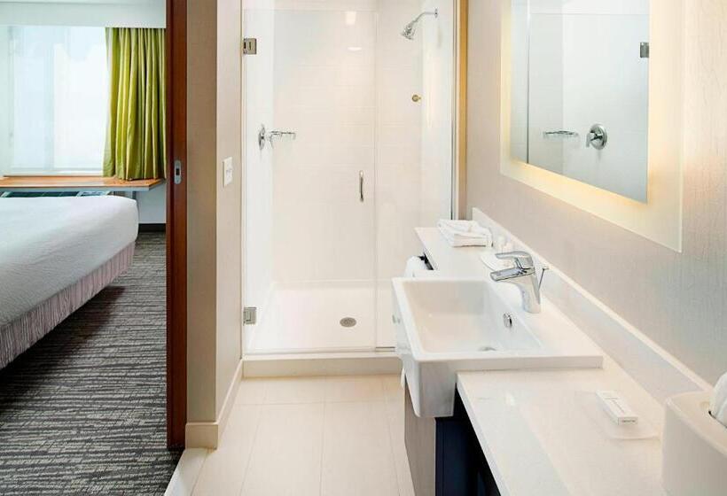 酒店 Springhill Suites By Marriott Carle Place Garden City