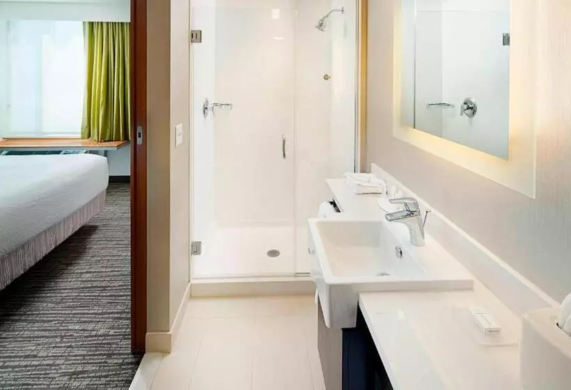 ホテル Springhill Suites By Marriott Carle Place Garden City