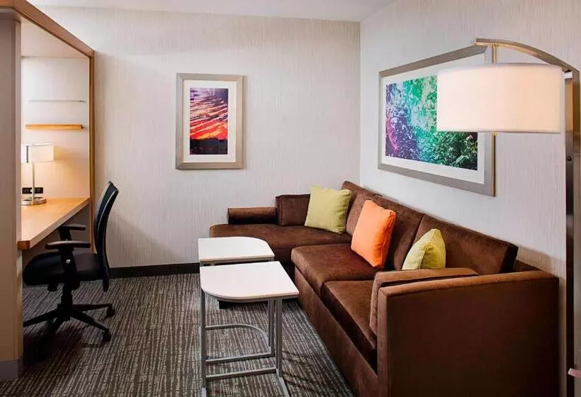 ホテル Springhill Suites By Marriott Carle Place Garden City