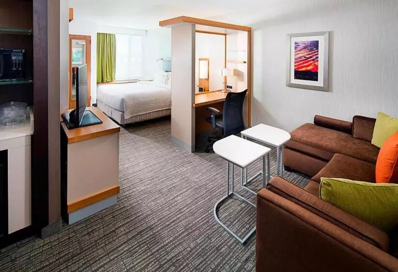 ホテル Springhill Suites By Marriott Carle Place Garden City