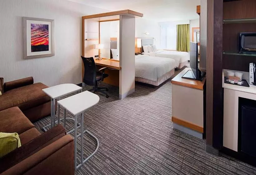 ホテル Springhill Suites By Marriott Carle Place Garden City