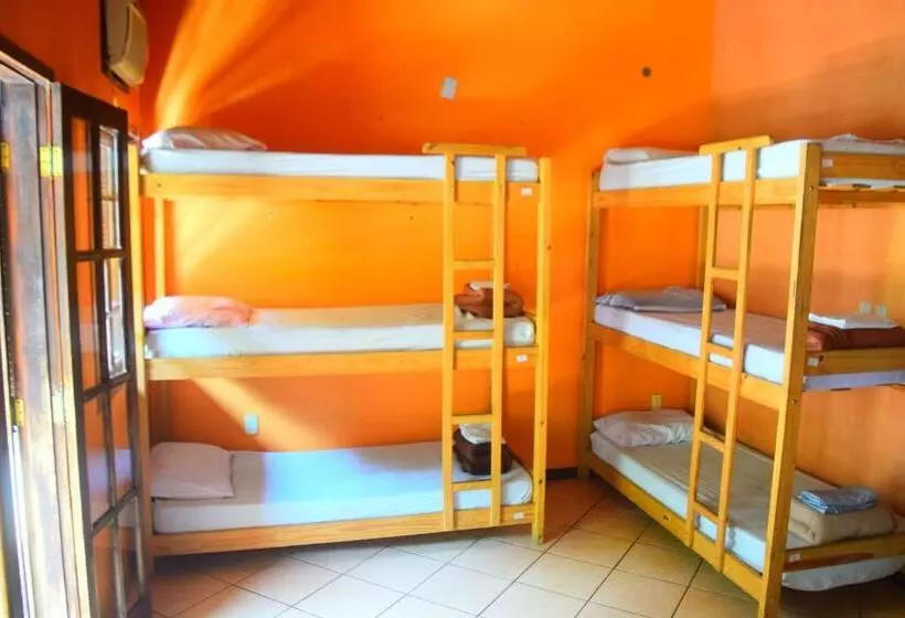 Leo S Clan Beach Hostel