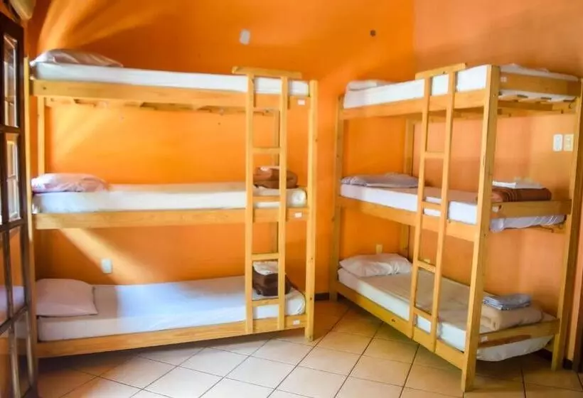 Leo S Clan Beach Hostel