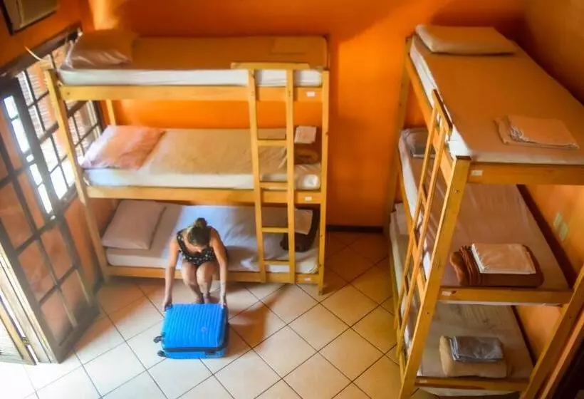 Leo S Clan Beach Hostel