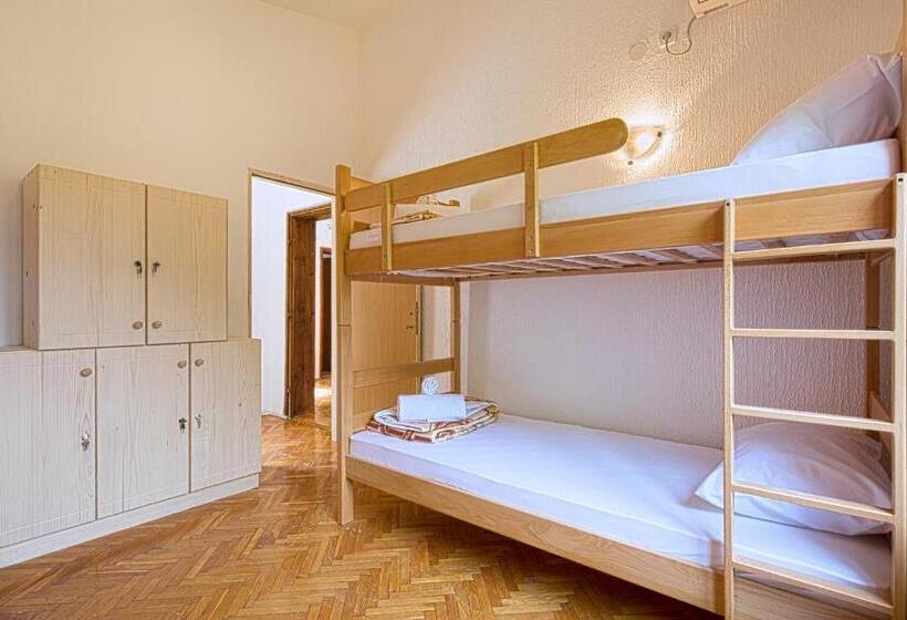 هاستل Pirate Backpackers