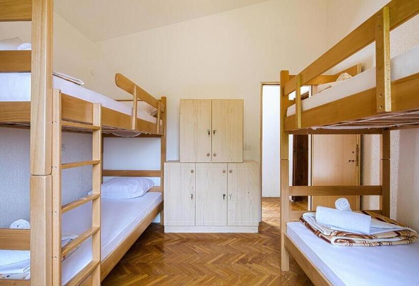 هاستل Pirate Backpackers