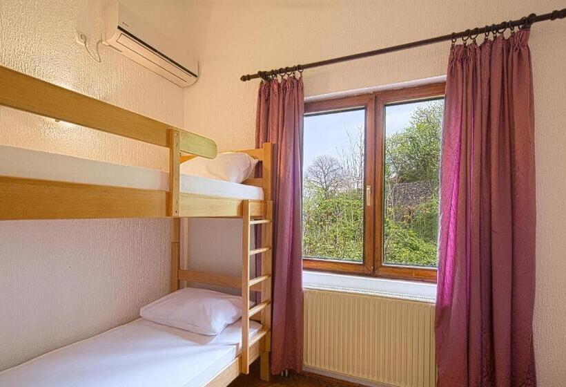 هاستل Pirate Backpackers