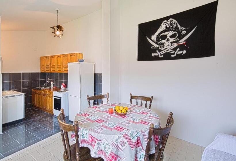 هاستل Pirate Backpackers