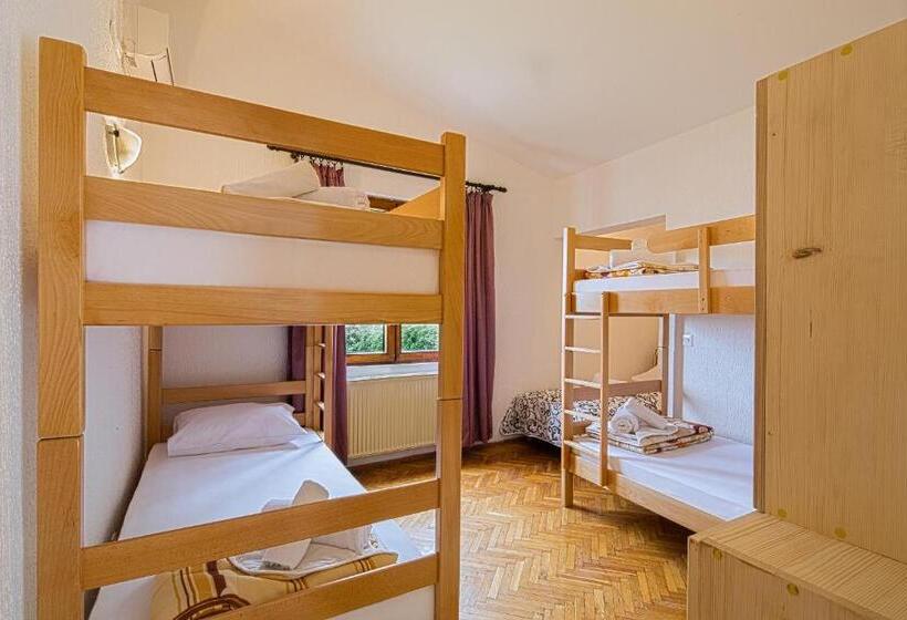 هاستل Pirate Backpackers