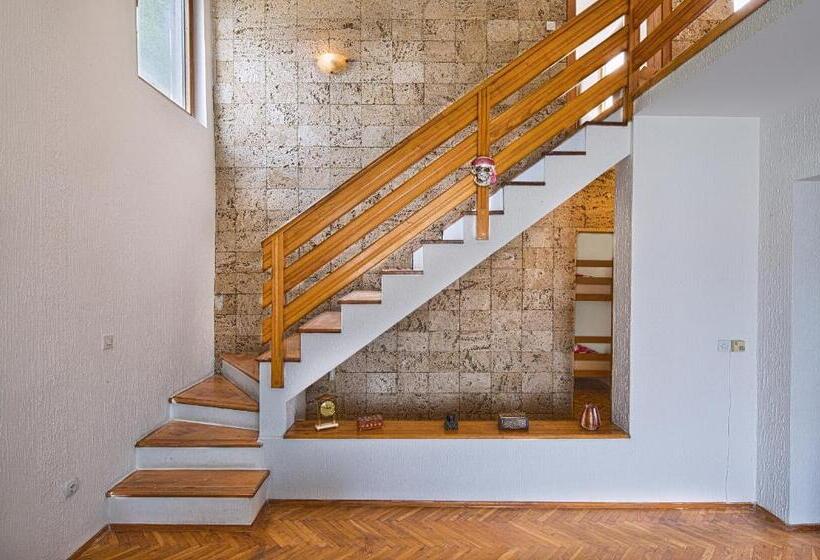 هاستل Pirate Backpackers