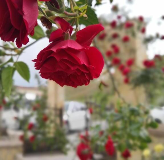 هتل Peace Stone House