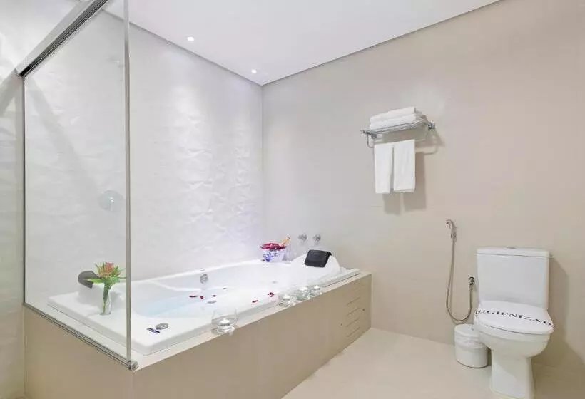 Hotelli Vinhedo Plaza