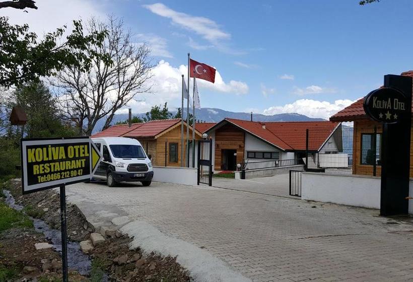 Koliva Otel