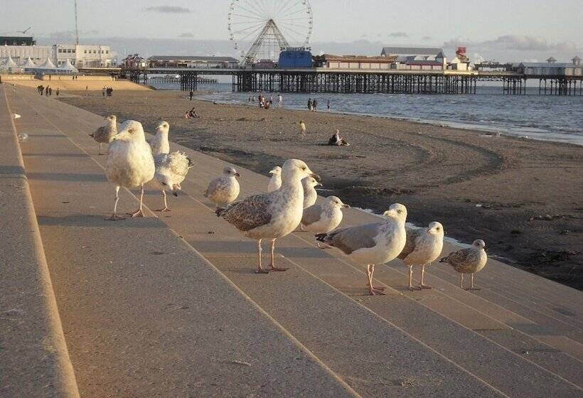 بنسيون The Chorlton