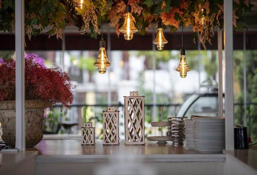 ホテル Tiara Buyukada