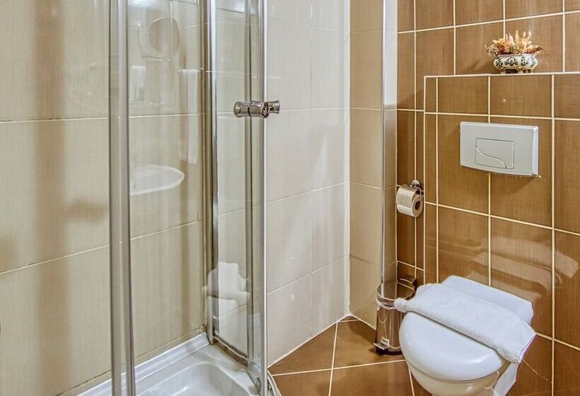 ホテル Tiara Buyukada