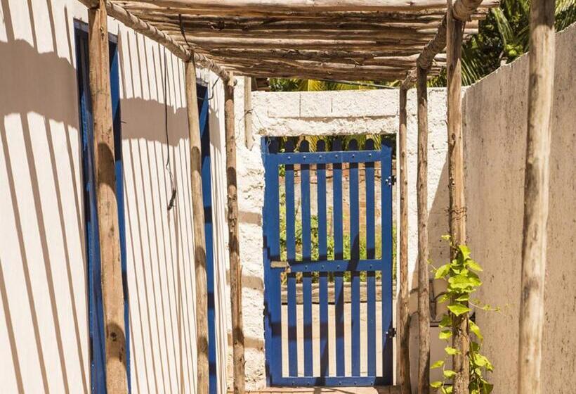 호스텔 Mangue Seco Lodge   Experiência Gastronômica