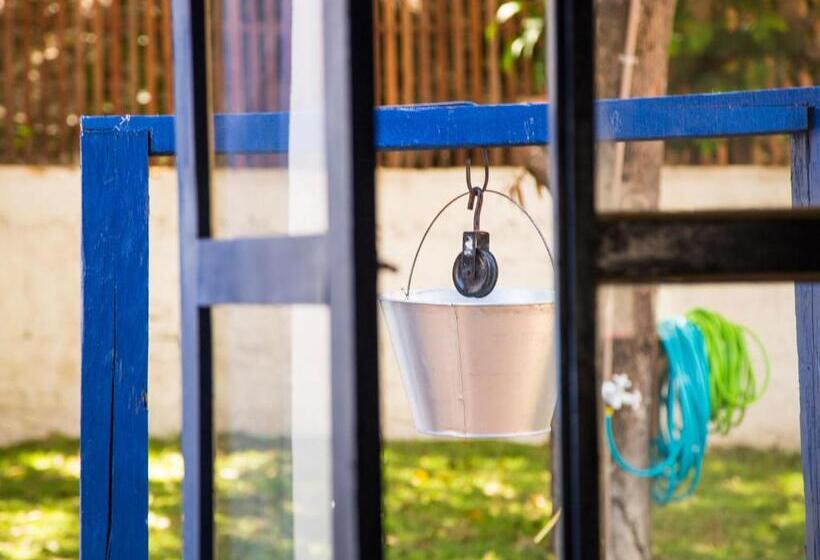 호스텔 Mangue Seco Lodge   Experiência Gastronômica