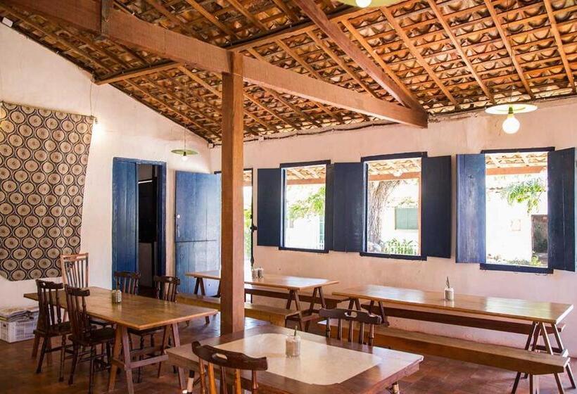 호스텔 Mangue Seco Lodge   Experiência Gastronômica