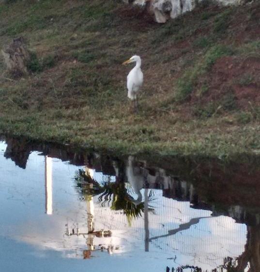 فندق Mirante Sul Park