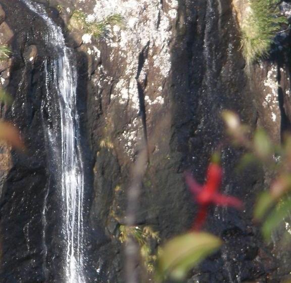 酒店 Centro Dos Canyons