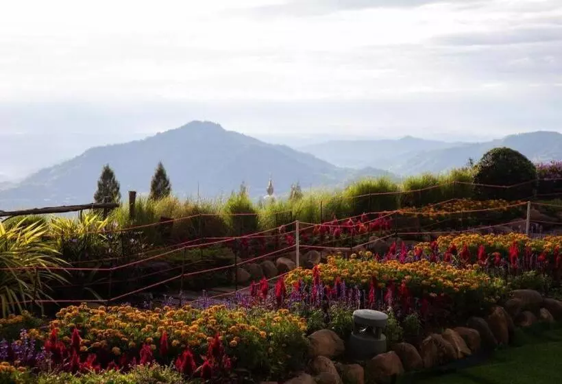 هتل Pino Latte Resort And
