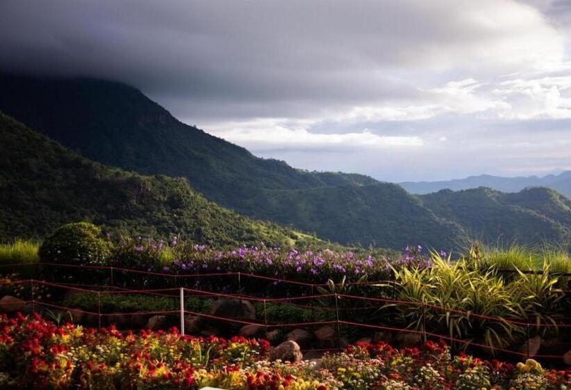 هتل Pino Latte Resort And