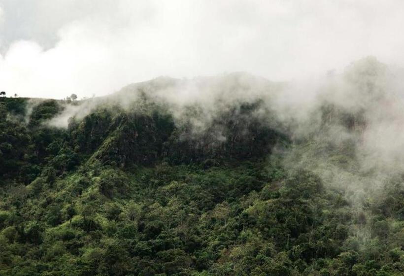 هتل Pino Latte Resort And