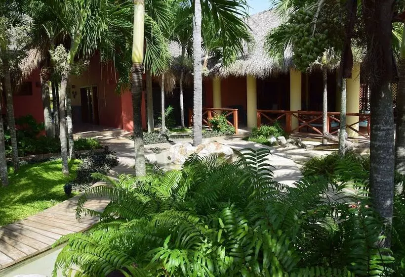 Sunset Boutique Hotel  All Suites