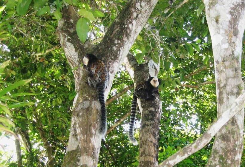 酒店 Pousada Mundo Verde