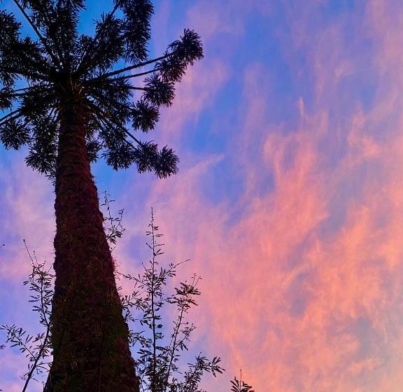 בית מלון כפרי Pousada Magia Da Montanha