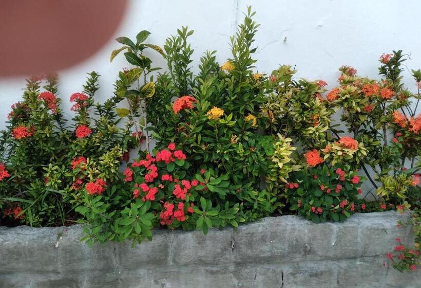 ホテル Pousada Terra De Minas