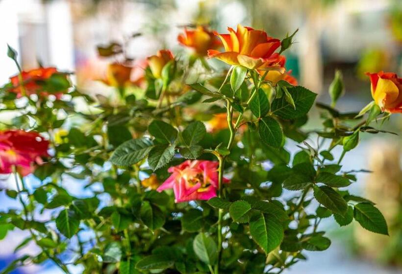 هتل Pouso Do Grego