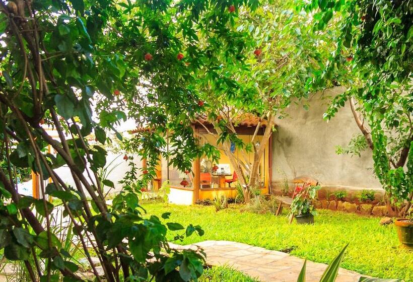 הוסטל Pousada Jardim Da Nova Era