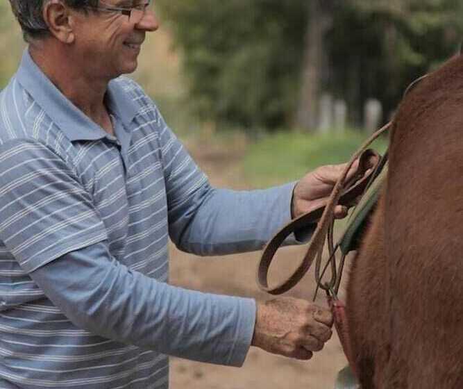 住宿加早餐  Pousada Realiza