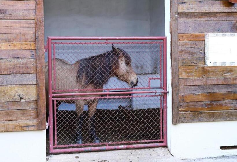 酒店 Fazenda Piramides