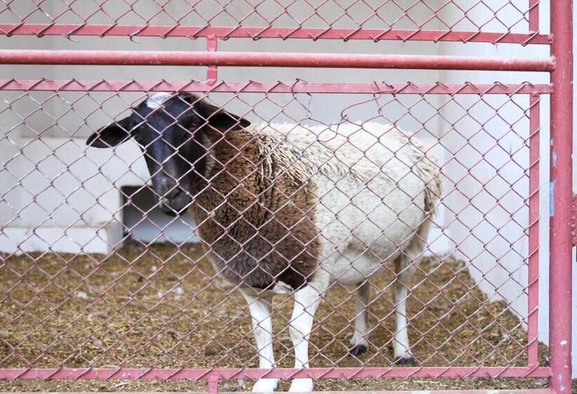 酒店 Fazenda Piramides