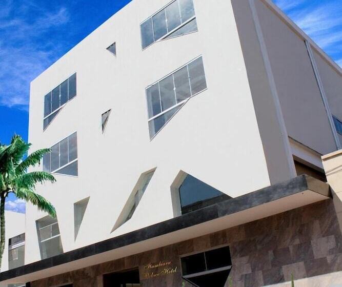 Otel Itumbiara Palace