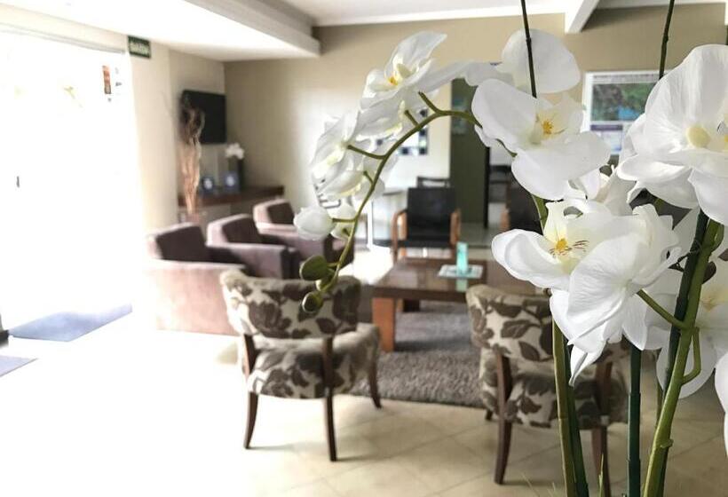 בית מלון כפרי Mohallem