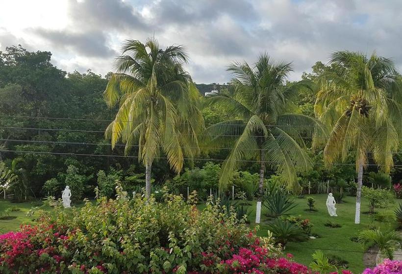 בית מלון כפרי Pousada Mangrovia