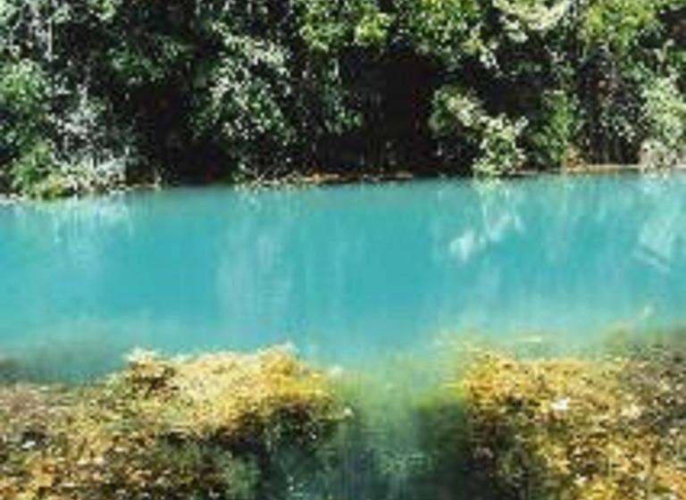 בית מלון כפרי Pousada Mangrovia