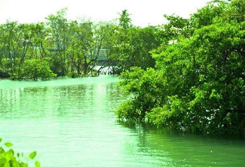 בית מלון כפרי Pousada Mangrovia