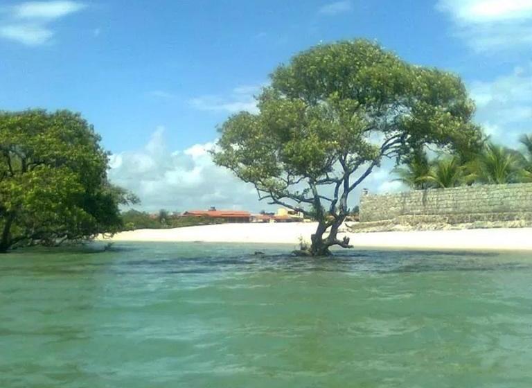 בית מלון כפרי Pousada Mangrovia