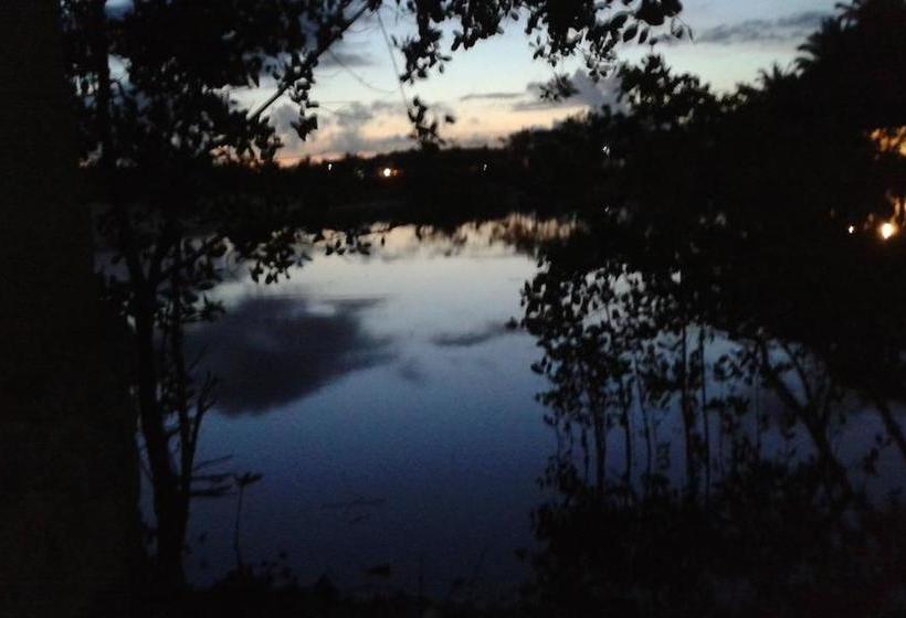 בית מלון כפרי Pousada Mangrovia