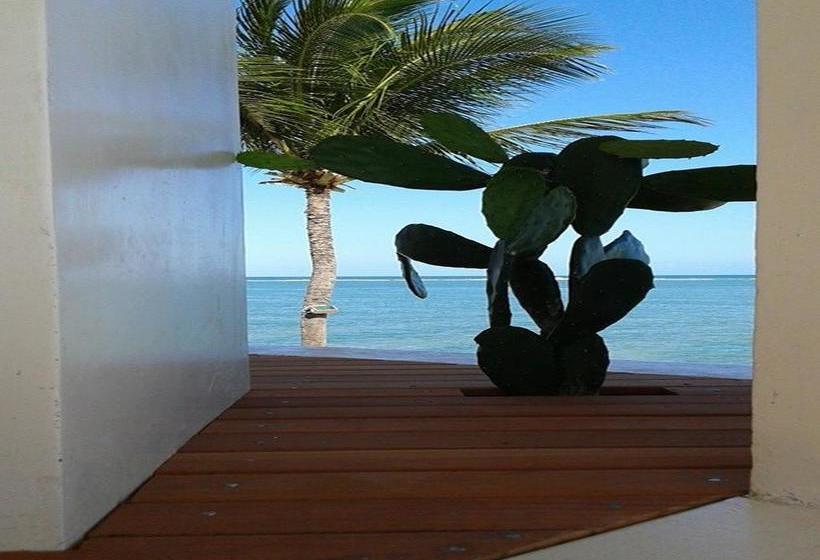 בית מלון כפרי Pousada Mangrovia